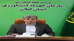 مزارع الگویی فرصتی برای توسعه کشاورزی پایدار است